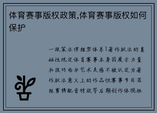 体育赛事版权政策,体育赛事版权如何保护